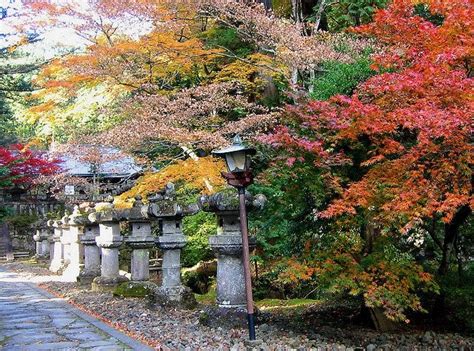 Autumn Leaves in Nikko 2022 | Visit Tochigi | Kyuhoshi