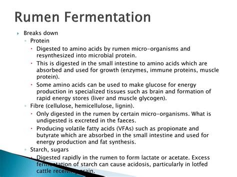 PPT - Rumen Function PowerPoint Presentation, free download - ID:737505