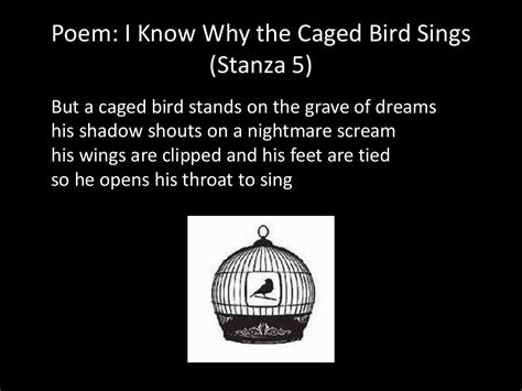 Poem I Know Why The Caged Bird Sings