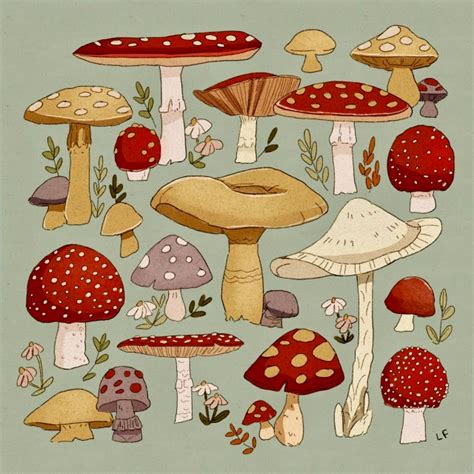 artists on tumblr | Tumblr | Mushroom drawing, Mushroom art, Stuffed mushrooms