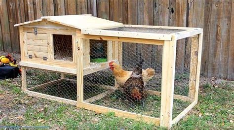 34 Free Chicken Coop Plans & Ideas That You Can Build on Your Own | Chickens: Coop Ideas ...