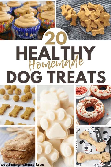 Easy Homemade Healthy Dog Treats Recipes | Besto Blog