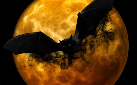 Halloween Bat Wallpapers - Top Free Halloween Bat Backgrounds - WallpaperAccess