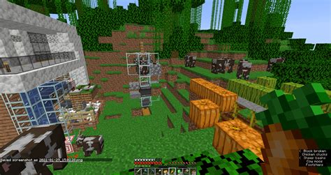 cow breeder glitch? : r/Minecraft