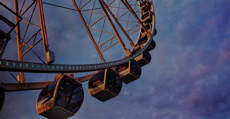 New aquarium, Ferris wheel set to open at Union Station by the end of ...