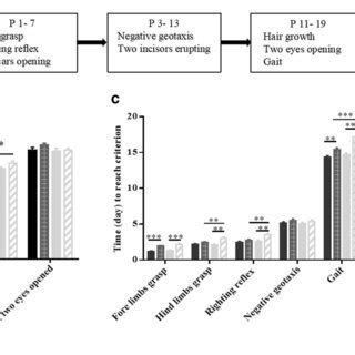 Effects of methcathinone exposure on the physical development and... | Download Scientific Diagram