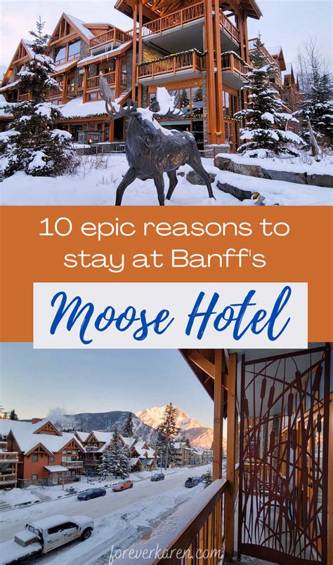 10 Great Reasons To Stay At The Moose Hotel, Banff - Forever Karen