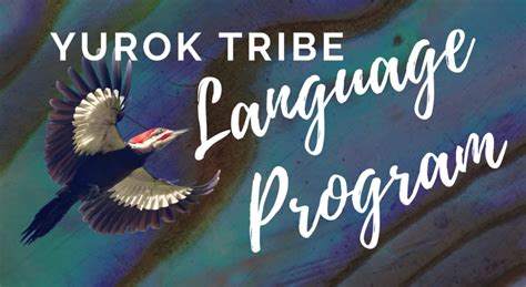 Yurok Tribe Language Program Interview with Victoria Carlson | The ...