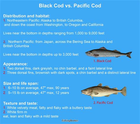 Black Cod vs. Cod: A Quick Guide