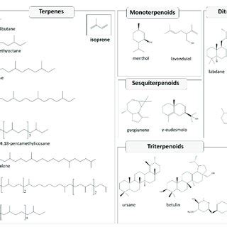 Some examples of terpene chemical structures and classification... | Download Scientific Diagram