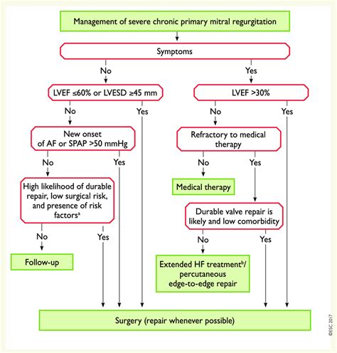 Mitral Valve Repair for Mitral Regurgitation