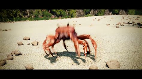 DANCING CRAB MEME | DOWNLOAD IT FOR FREE - YouTube