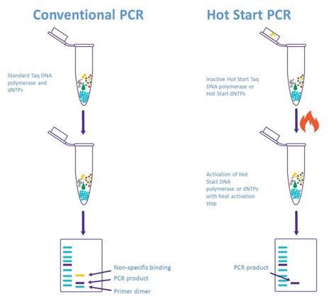 Conventional PCR, One-step RT PCR or Two-step real-time RT PCR: Which one is the best option ...