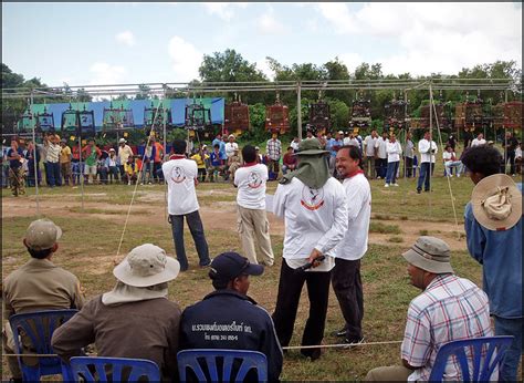 Singing Bird Competition in Phuket | The Phuket Blog