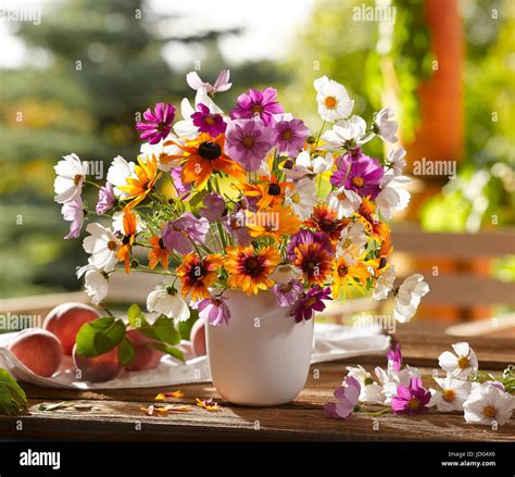 Cosmos flower bouquet hi-res stock photography and images - Alamy