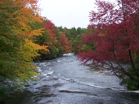 Foliage - Bridge Over Merrimack - New England