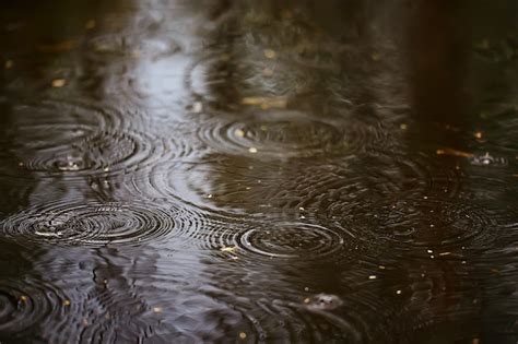 Premium Photo | Rain puddle circles, aqua abstract background, texture autumn water