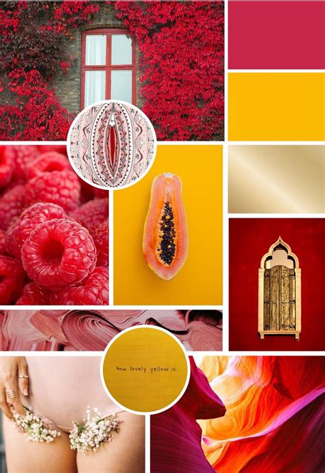 Les Albrecht branding mood board | women's health | for all women | Red and yellow aesthetic ...