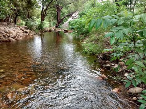 Tada Falls Near Chennai - Nativeplanet