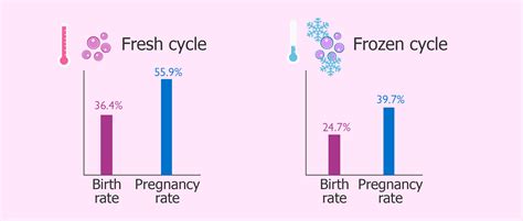 IVF results for fresh and frozen donor egg cycles