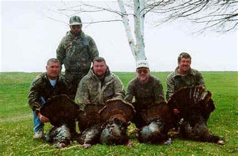 Guided Wild Turkey Hunting in New York State: C.P. Guide Service