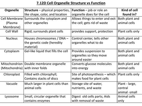 Structure And Function Of Cytoplasmic Organelles Of Cell