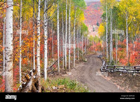 Fence lined dirt road with fall colors in the Wasatch Mountains of Utah Stock Photo - Alamy