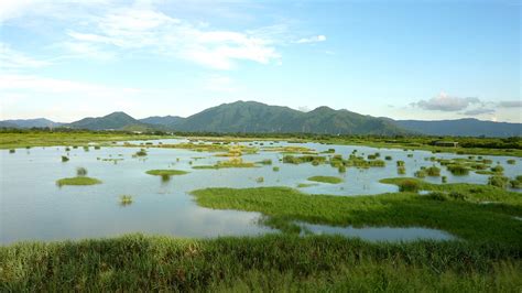 Yuen Long | Hong Kong Tourism Board