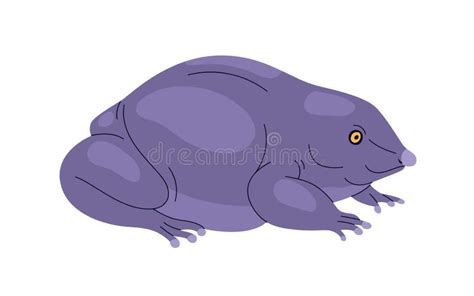 Purple Pignose Frog. Indian Violet Froggy with Smooth Skin Stock Vector - Illustration of ...