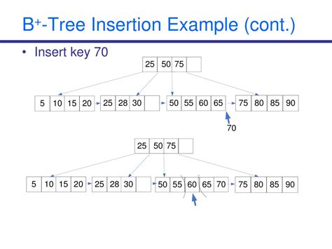 COMP261 Lecture 24 B and B+ Trees - ppt download