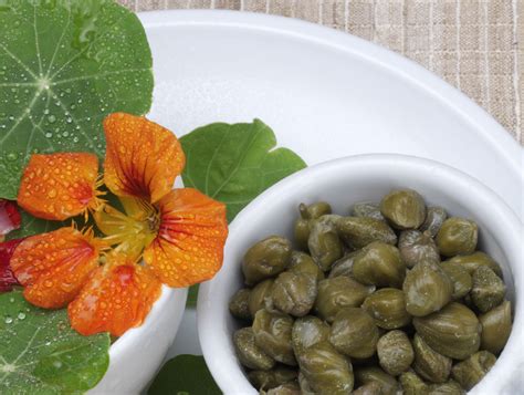 Nasturtium Capers Made From Plant Seeds Recipe