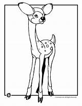 Deer Coloring Pages Fawn Coloring Page – Animal Jr  coloring sketch template