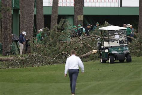 Watch: Giant pine trees fall on course at Masters golf tourney - UPI.com