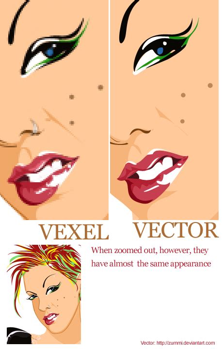 13 Examples Of Vector Graphics Images - Vector and Bitmap Graphics ...