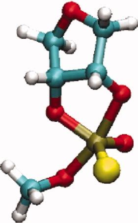 CHARMM force field parameters for simulation of reactive intermediates ...