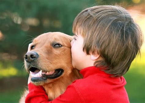 New Pets May Help Autistic Kids Socially | Coping with Autism | Live ...