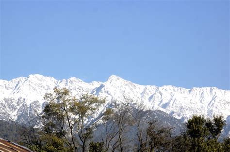 Palampur (Himachal Pradesh): Dhauladhar range snowfall