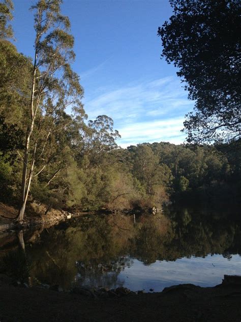 Tilden Regional Park | Park, Landscape, Natural landmarks