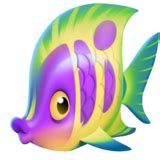 🐠 Tropical Fish Emoji on Twitter Emoji Stickers 13.1