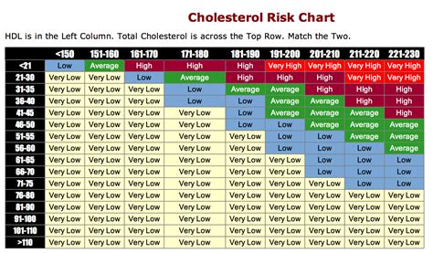 All About Cholesterol - Hamilton Cardiology Associates - New Jersey's Leading Board Certified ...