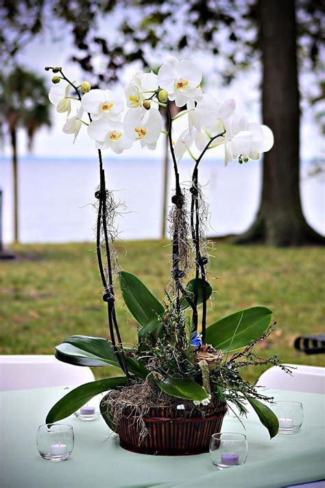 This is a beautiful close up of a white orchid centerpiece used in an outdoor wedding. #Orchid ...