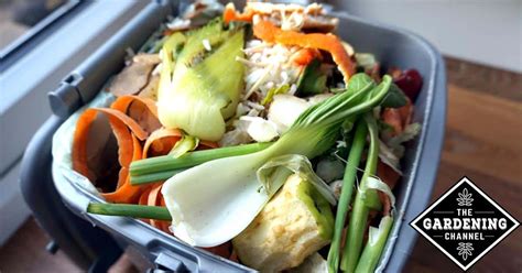 Tips For Indoor Composting - Gardening Channel