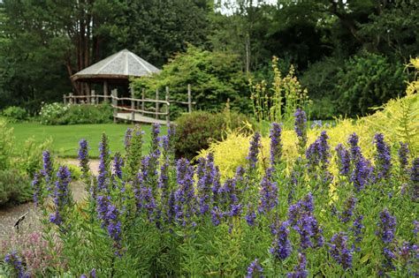 St Andrews Botanic Garden - Historic and Botanic Garden Training Programme