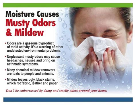 How to get rid of musty smell? - TheDehumidifierExperts