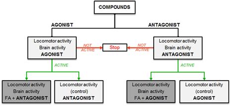 Frontiers | Pharmacological Analysis of the Anti-epileptic Mechanisms of Fenfluramine in scn1a ...