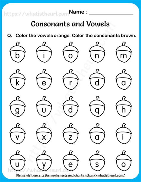 Worksheets on Consonants and Vowels for Grade 1 - Your Home Teacher | Vowel, Consonant, Vowel ...