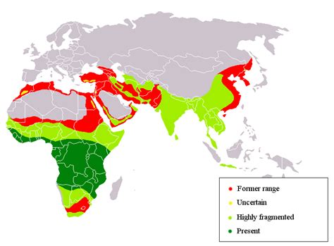 Leopard Distribution • Mapsof.net