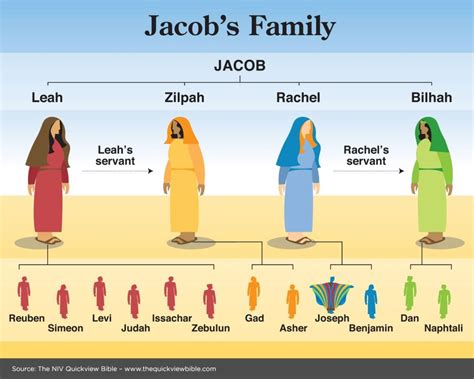 Jacob’s Family | Bible facts, Bible lessons, Scripture study