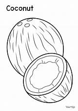 Coconut Coloring Pages Free Printable PDFs  WakeTheKids sketch template