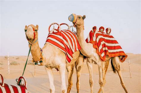 The Ultimate Dubai Layover Guide: How to Spend 6 Hours, 1 or 2 Days ...